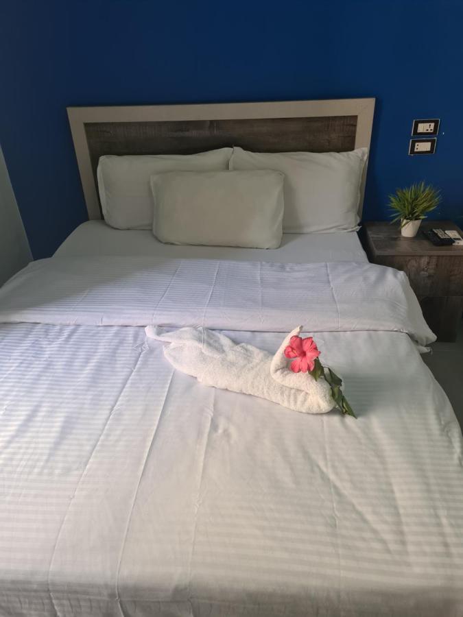 The Australian Hostel Kahire Dış mekan fotoğraf